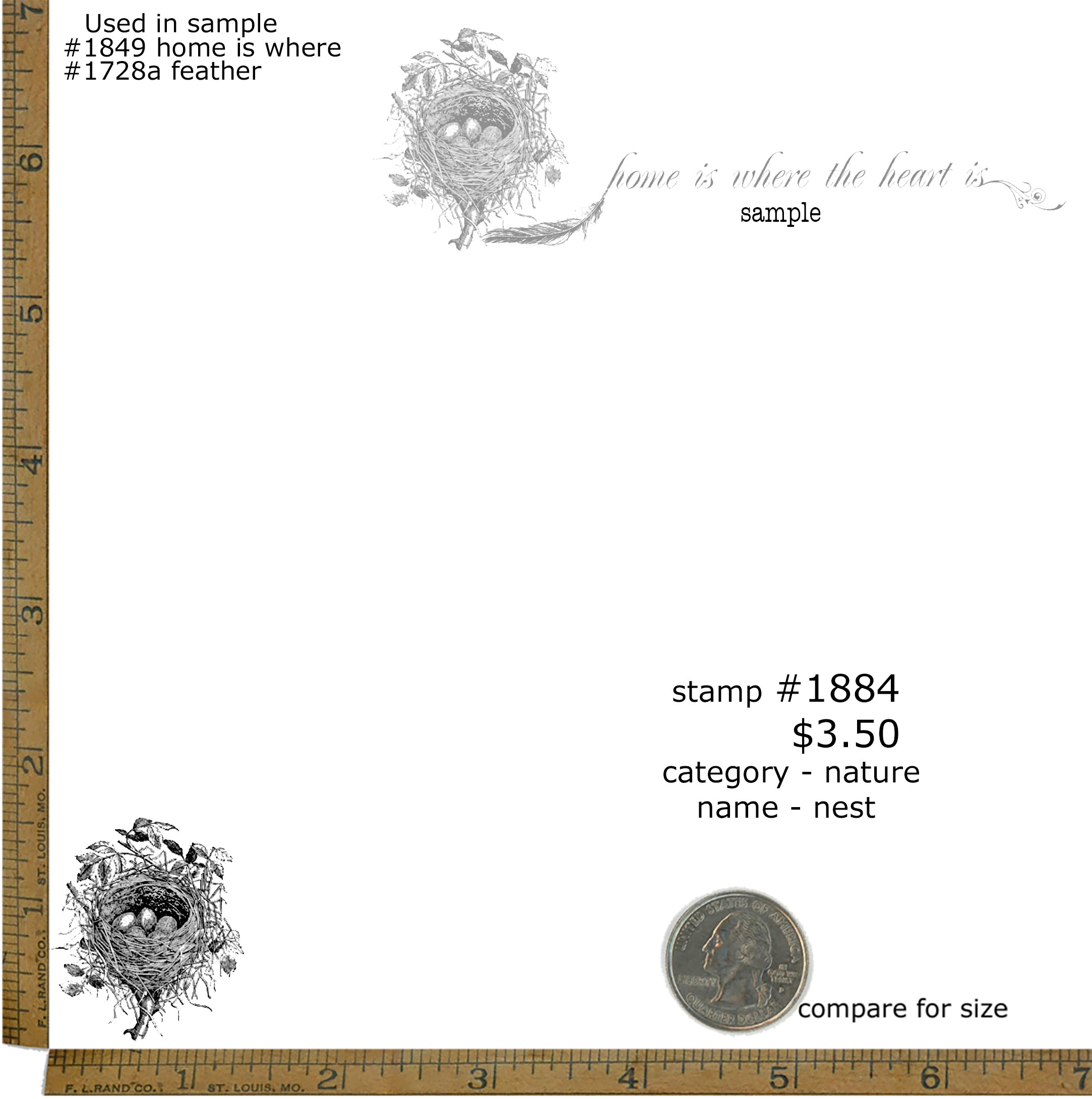 #1884 - Nest - Nature